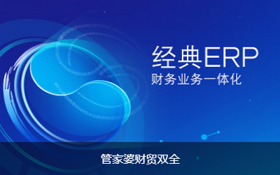 管家婆财贸双全系列